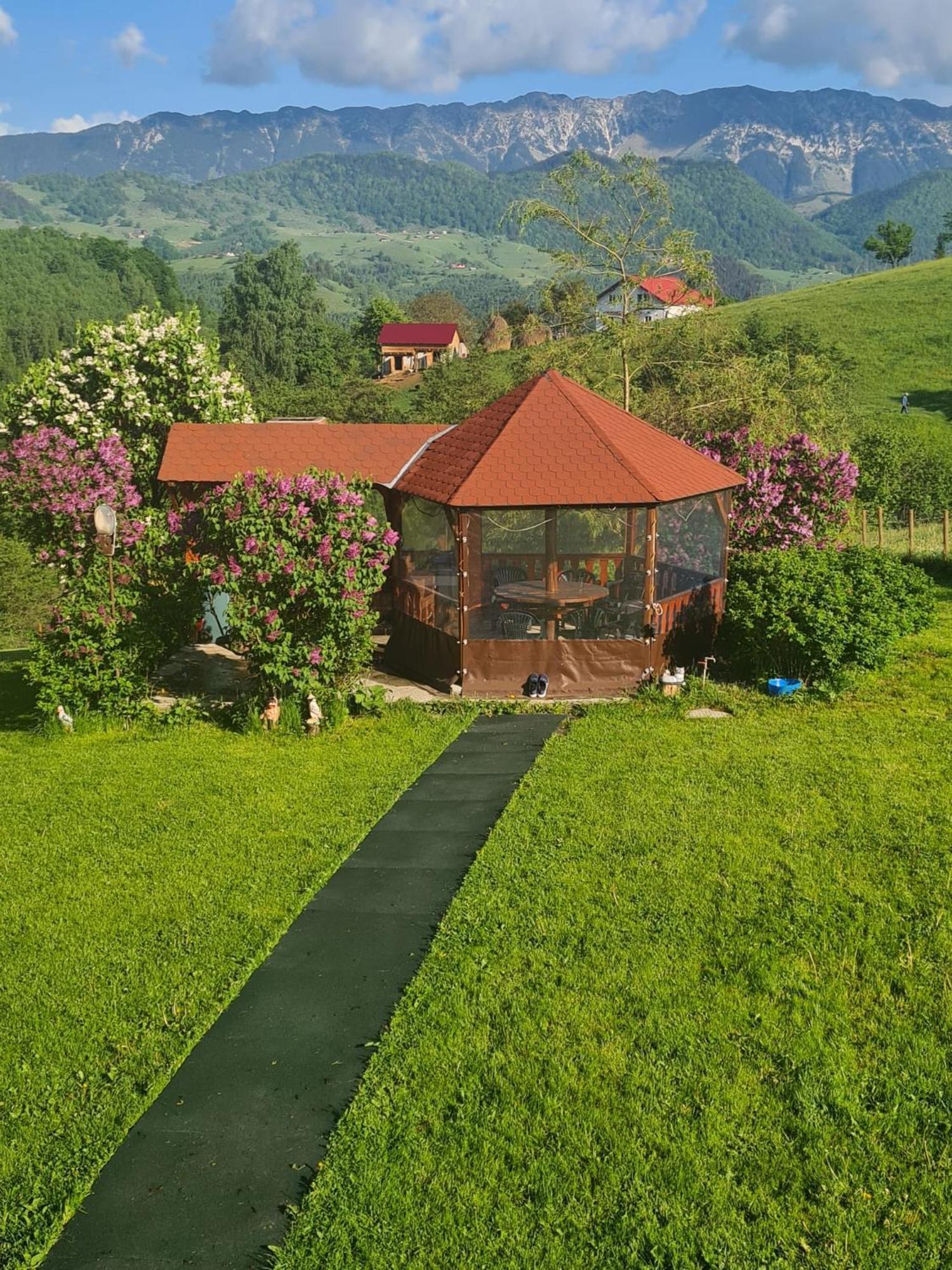Nona Highland Home Moieciu de Jos Exteriör bild