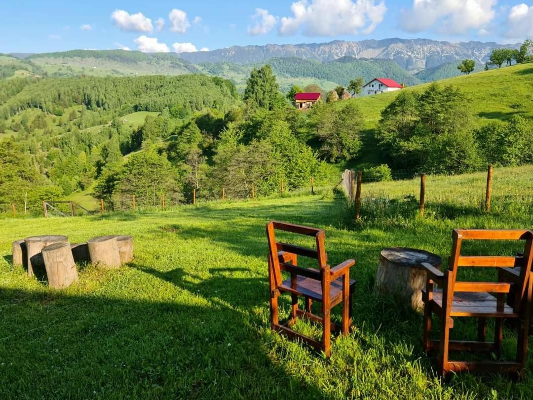 Nona Highland Home Moieciu de Jos Exteriör bild