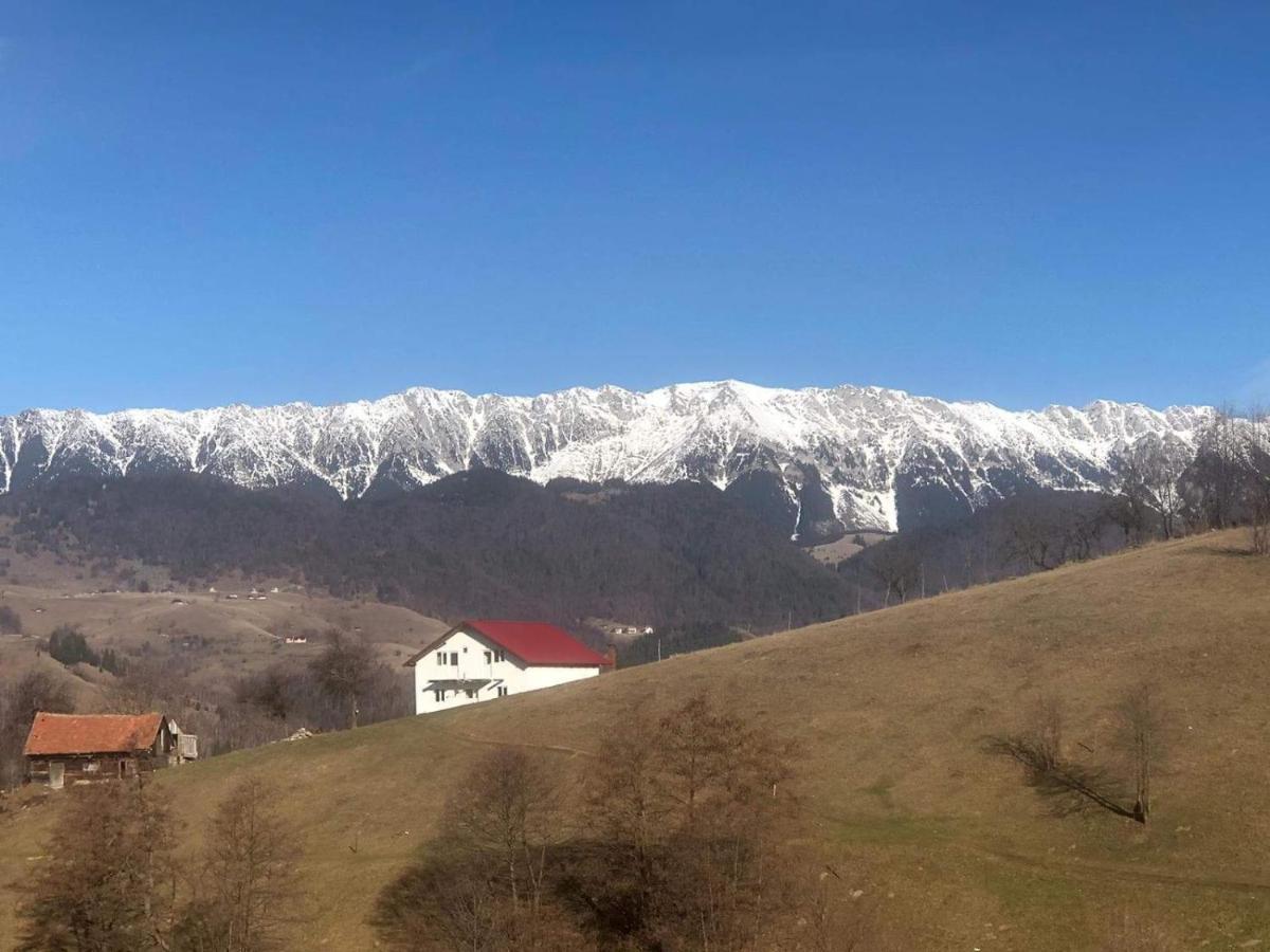 Nona Highland Home Moieciu de Jos Exteriör bild